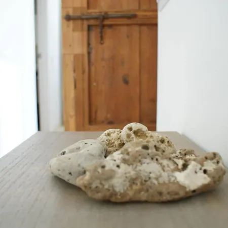 Sh Rosario. Loft Chic En El Centro Historico קדיז